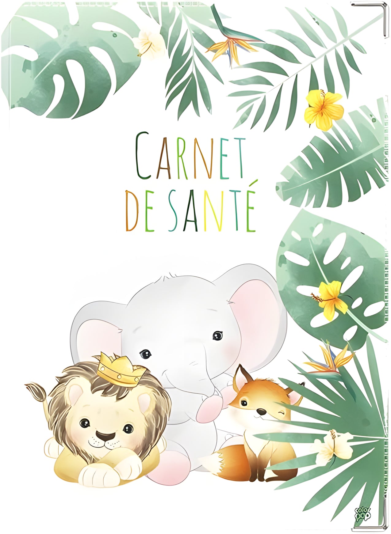 Protège Carnet De Santé Imperméable