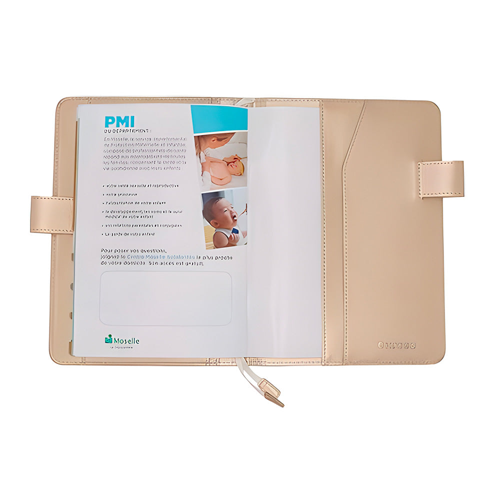Protège Carnet De Santé Disney