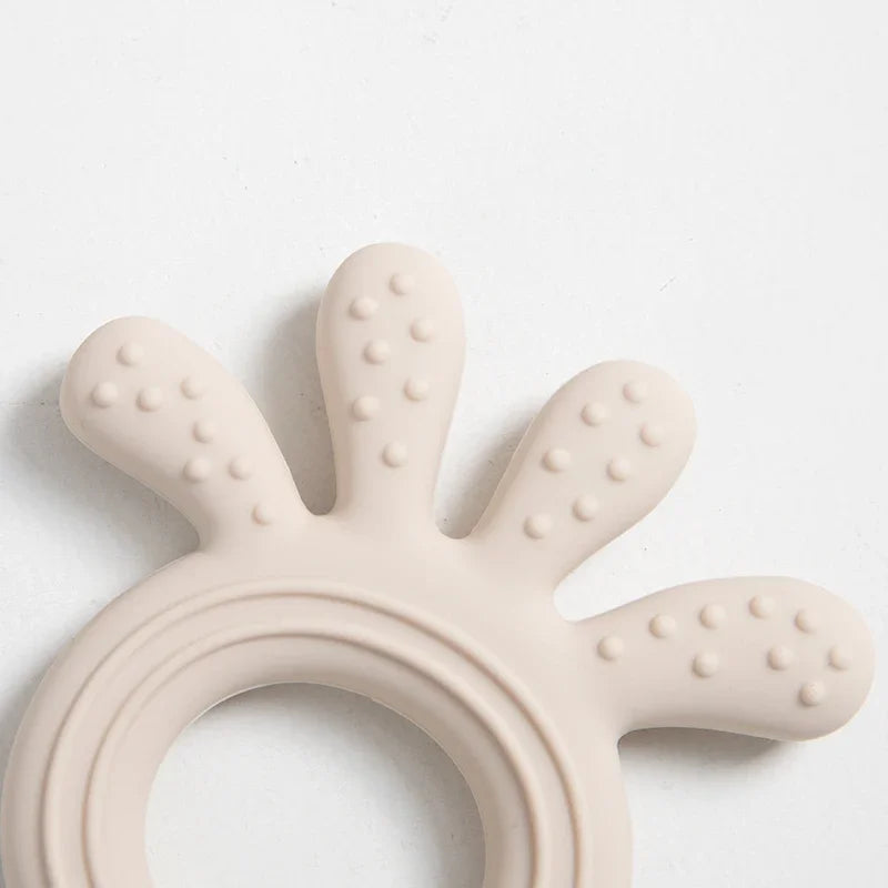 Anneau Dentition Silicone