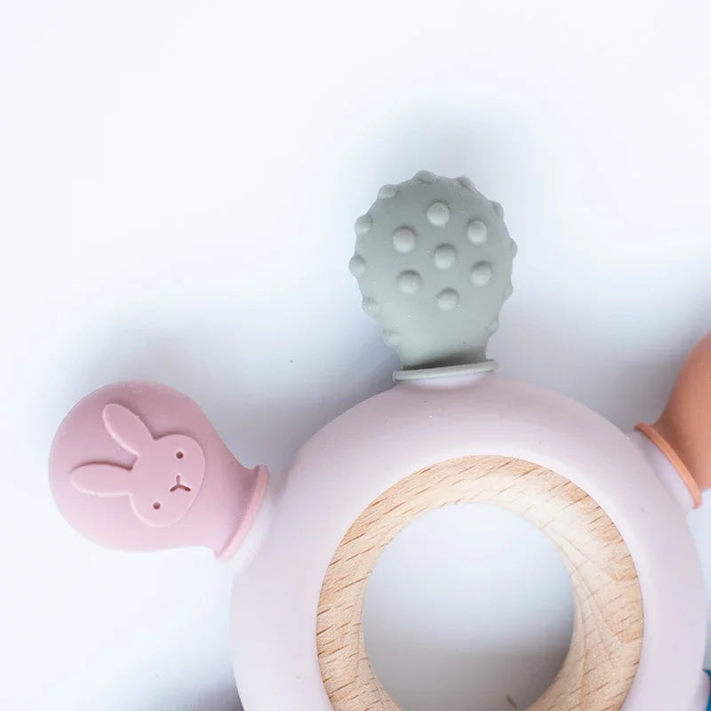 Anneaux Dentition Silicone