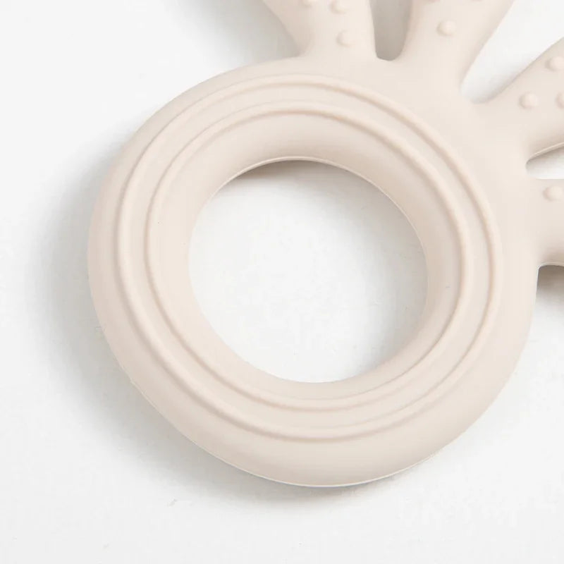 Anneau Dentition Silicone