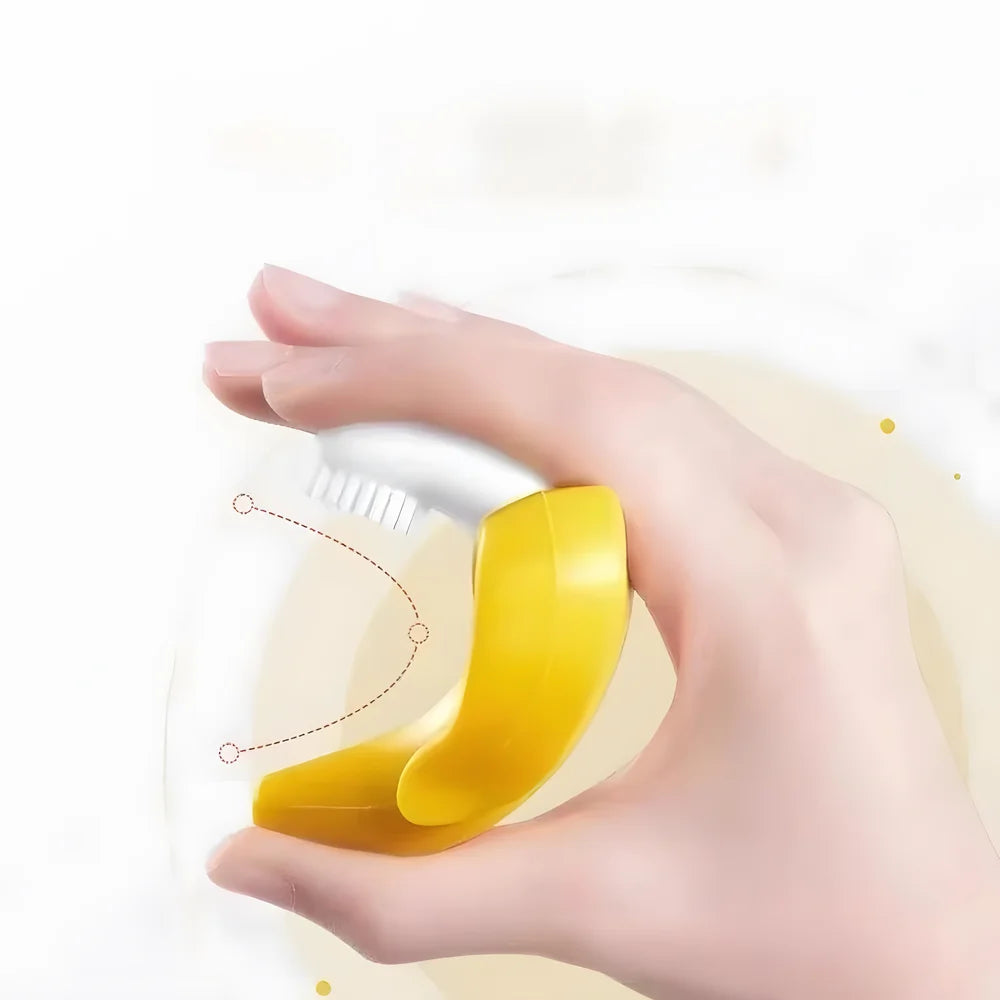 Anneaux Dentition