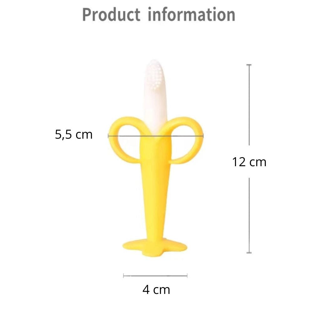 Anneaux Dentition